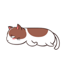 muuga cat（個別スタンプ：19）