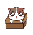 muuga cat（個別スタンプ：35）