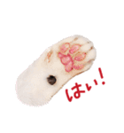 三毛猫りんちゃんスタンプ（個別スタンプ：7）