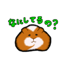 モルモットのムクさん（個別スタンプ：12）