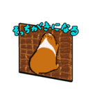 モルモットのムクさん（個別スタンプ：15）