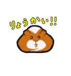 モルモットのムクさん（個別スタンプ：19）