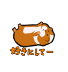 モルモットのムクさん（個別スタンプ：24）