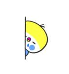 セキセイインコです。からあげくんです。（個別スタンプ：8）