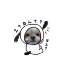 シーズー犬のりょうスタンプ（個別スタンプ：9）