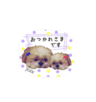 シーズー犬のりょうスタンプ（個別スタンプ：21）
