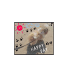 シーズー犬のりょうスタンプ（個別スタンプ：24）