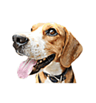 Beagle Cute Dog（個別スタンプ：9）