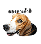 Beagle Cute Dog（個別スタンプ：29）