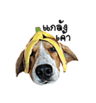 Beagle Cute Dog（個別スタンプ：32）
