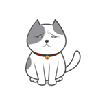 Yumijung and PaoPao（個別スタンプ：9）