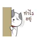 Yumijung and PaoPao（個別スタンプ：12）