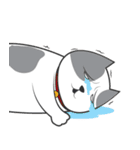 Yumijung and PaoPao（個別スタンプ：15）