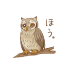 おてがる小動物日常会話（個別スタンプ：30）