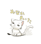 綿毛ねこ2（個別スタンプ：13）