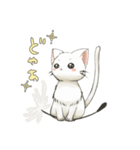 綿毛ねこ2（個別スタンプ：20）