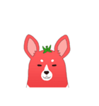 トマトコーギーくん（個別スタンプ：6）