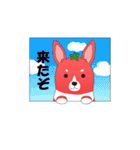 トマトコーギーくん（個別スタンプ：13）