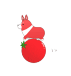 トマトコーギーくん（個別スタンプ：32）