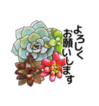 多肉植物で挨拶！（個別スタンプ：22）