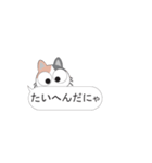 ねこ語にゃ〜！（個別スタンプ：34）