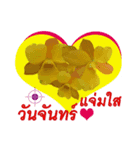 FLOWER TODAY FOR YOU（個別スタンプ：1）
