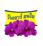 FLOWER TODAY FOR YOU（個別スタンプ：6）