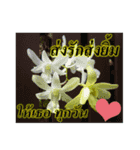 FLOWER TODAY FOR YOU（個別スタンプ：8）