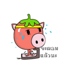 TOMATO PIG（個別スタンプ：16）