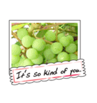 Fruit photo greeting card（個別スタンプ：15）