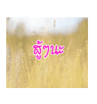 Hello Everyday [TH]（個別スタンプ：15）