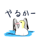 Wild Bird Sticker 2.1（個別スタンプ：3）