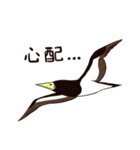 Wild Bird Sticker 2.1（個別スタンプ：10）