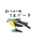 Wild Bird Sticker 2.1（個別スタンプ：12）