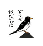 Wild Bird Sticker 2.1（個別スタンプ：13）