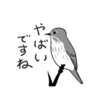 Wild Bird Sticker 2.1（個別スタンプ：15）