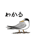 Wild Bird Sticker 2.1（個別スタンプ：16）