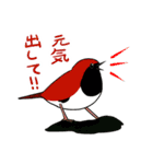 Wild Bird Sticker 2.1（個別スタンプ：18）