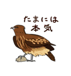 Wild Bird Sticker 2.1（個別スタンプ：20）