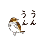 Wild Bird Sticker 2.1（個別スタンプ：23）