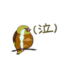 Wild Bird Sticker 2.1（個別スタンプ：24）