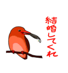 Wild Bird Sticker 2.1（個別スタンプ：26）