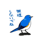 Wild Bird Sticker 2.1（個別スタンプ：29）