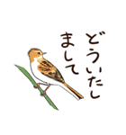 Wild Bird Sticker 2.1（個別スタンプ：31）