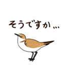 Wild Bird Sticker 2.1（個別スタンプ：37）