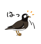 Wild Bird Sticker 2.1（個別スタンプ：38）