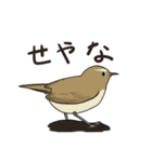 Wild Bird Sticker 2.1（個別スタンプ：39）