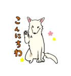 おしずスタンプ（個別スタンプ：2）