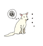 おしずスタンプ（個別スタンプ：10）
