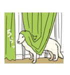 おしずスタンプ（個別スタンプ：17）